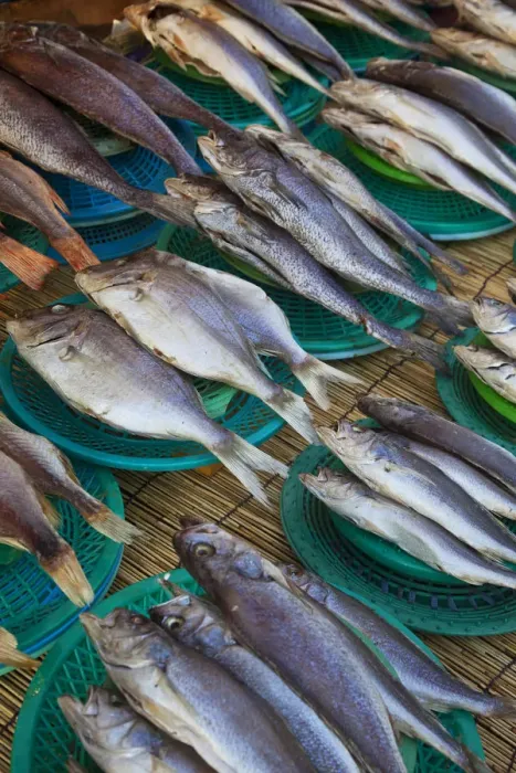 Framed Print : Korea, Gyeongsangnam-do, Busan, Jalgalchi fish market
