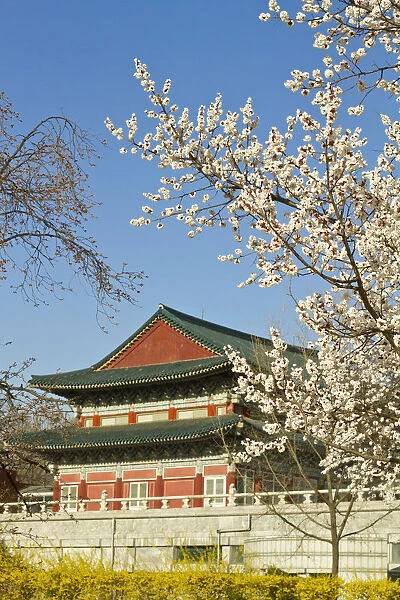 Korea, Seoul, Gyeongbokgung Palace