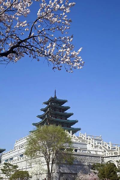 Korea, Seoul, Gyeongbokgung Palace, National Folk museum of Korea