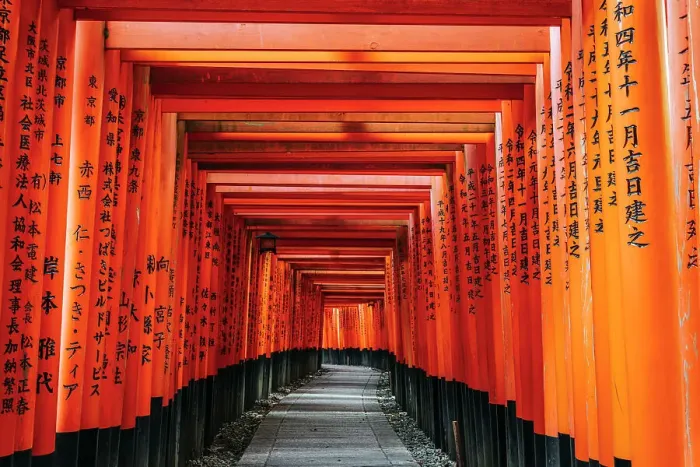 Framed Print : Kyoto Japan. Fushimi Inari Taisha Shrine at sunrise Framed Print : Kyoto Japan. Fushimi Inari Taisha Shrine at sunrise