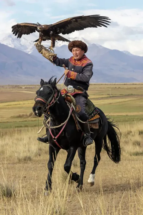 Framed Print : Kyrgyzstan, Issyk Kul Lake, golden eagle hunter on horseback Framed Print : Kyrgyzstan, Issyk Kul Lake, golden eagle hunter on horseback