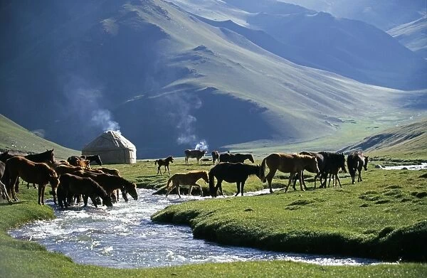 Kyrgyzstan, Tash Rabat Valley