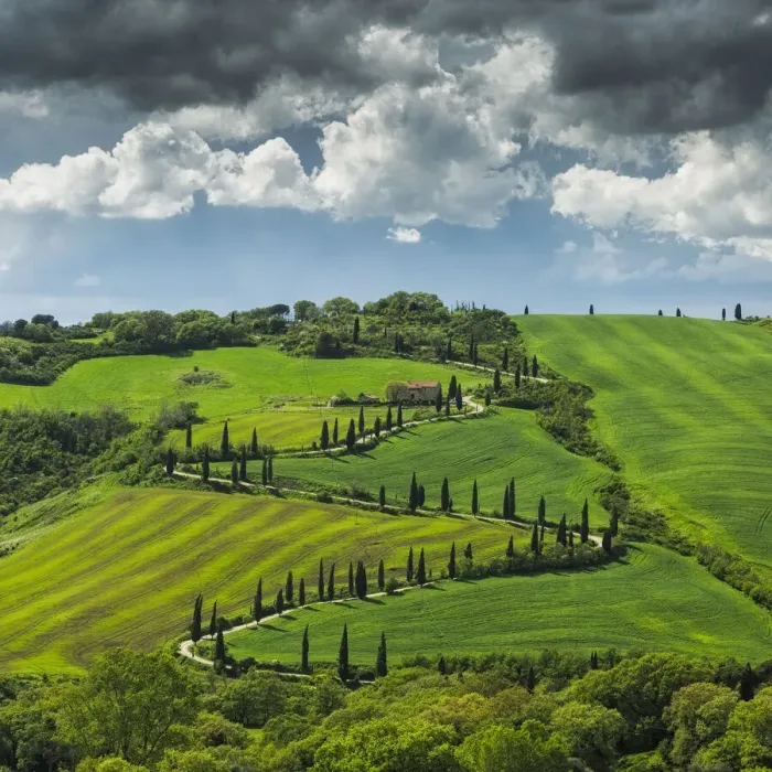 Framed Print : La foce winding road lined with Cypress trees, Val d Orcia, Tuscany, Italy Framed Print : La foce winding road lined with Cypress trees, Val d Orcia, Tuscany, Italy