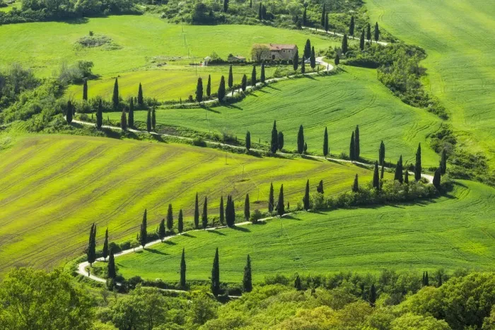 Framed Print : La foce winding road lined with Cypress trees, Val d Orcia, Tuscany, Italy Framed Print : La foce winding road lined with Cypress trees, Val d Orcia, Tuscany, Italy