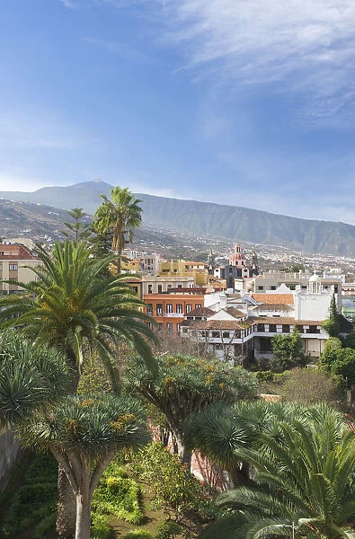 La Orotava in front of Teide, Tenerife, Canary Islands, Spain