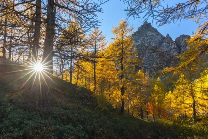 Framed Print : La Rossa at sunset during autumn, Parco Naturale dell Alpe Veglia e dell Framed Print : La Rossa at sunset during autumn, Parco Naturale dell Alpe Veglia e dell