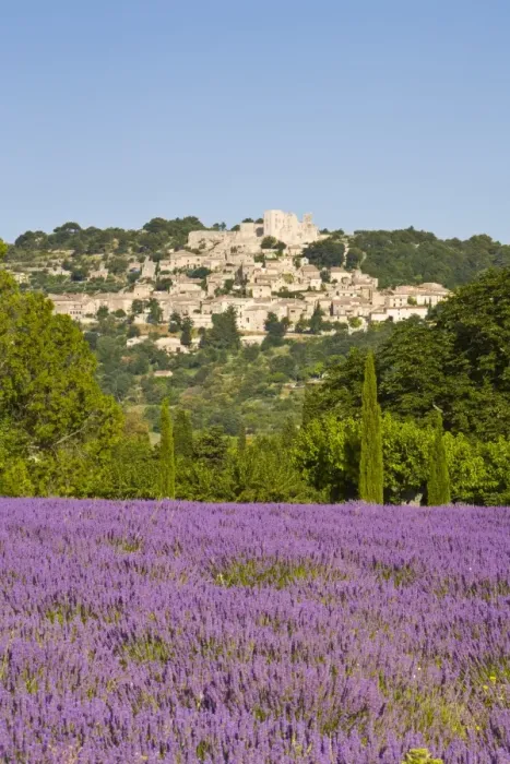 Framed Print : Lacoste & Lavender Fields, Luberon, Vaucluse Provence, France Framed Print : Lacoste & Lavender Fields, Luberon, Vaucluse Provence, France