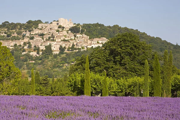 Lacoste & Lavender Fields, Luberon, Vaucluse Provence, France