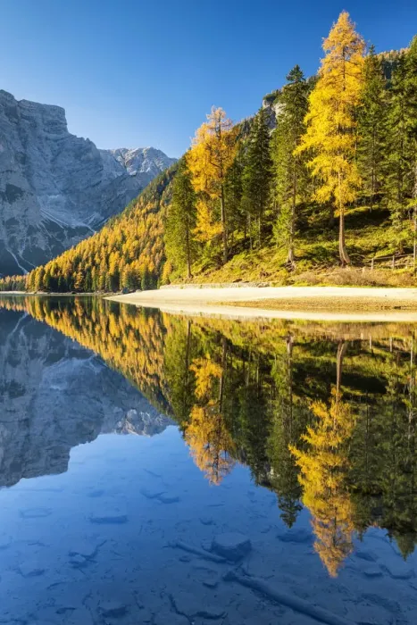 Framed Print : Lago di Braies in Autumn, South Tyrol, Bolzano, Dolomites, Italy Framed Print : Lago di Braies in Autumn, South Tyrol, Bolzano, Dolomites, Italy