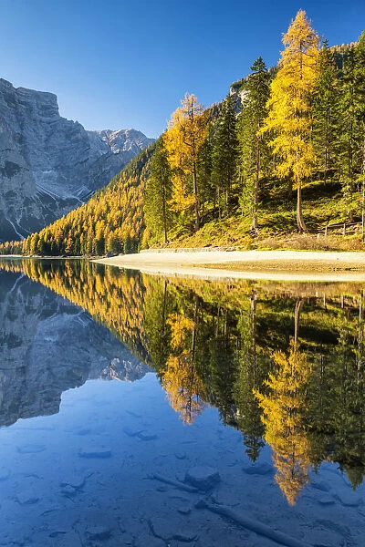 Lago di Braies in Autumn, South Tyrol, Bolzano, Dolomites, Italy