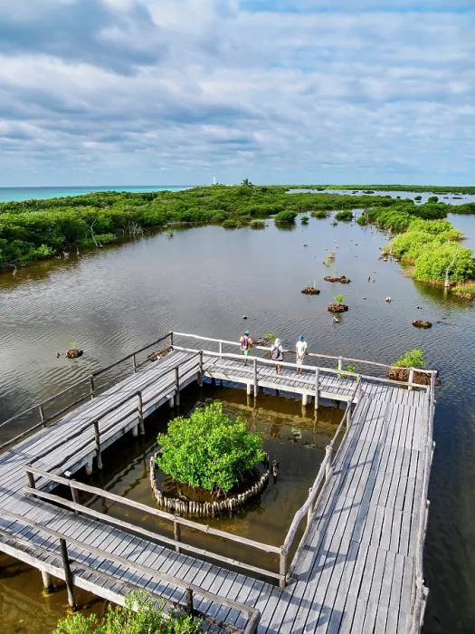 Framed Print : Lagoon Observation Deck at Punta Sur, elevated view, Cozumel Island, Quintana Roo State, Mexico Framed Print : Lagoon Observation Deck at Punta Sur, elevated view, Cozumel Island, Quintana Roo State, Mexico