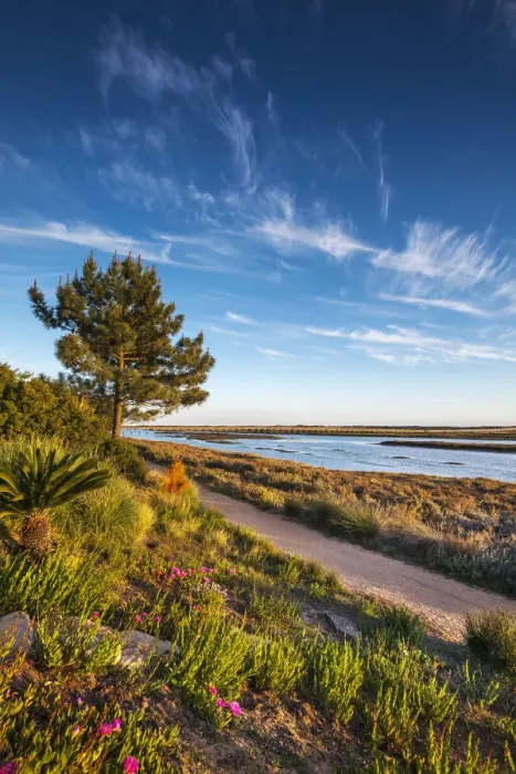 Framed Print : Lagoon Quinta do Lago, nature park Rio Formosa, Algarve, Portugal Framed Print : Lagoon Quinta do Lago, nature park Rio Formosa, Algarve, Portugal