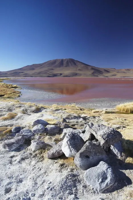 Framed Print : Laguna Colorada on the Altiplano, Potosi Department, Bolivia Framed Print : Laguna Colorada on the Altiplano, Potosi Department, Bolivia