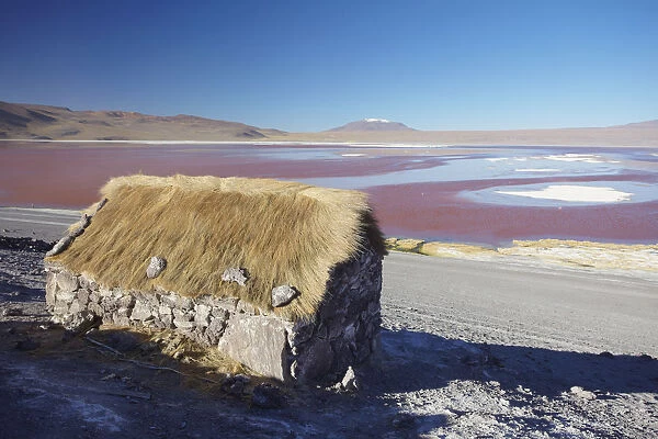 Laguna Colorada on the Altiplano, Potosi Department, Bolivia