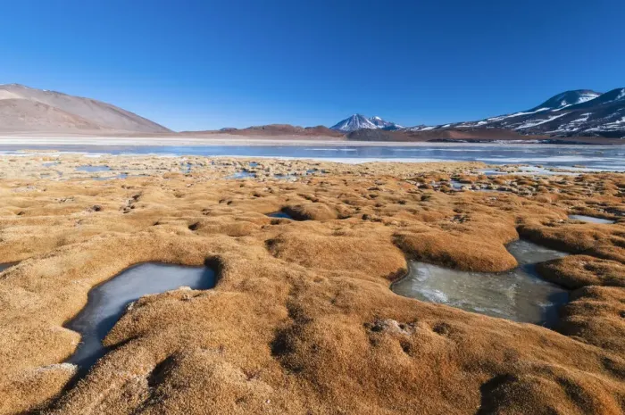 Framed Print : Laguna Tuyajto, Atacama Desert, Chile Framed Print : Laguna Tuyajto, Atacama Desert, Chile