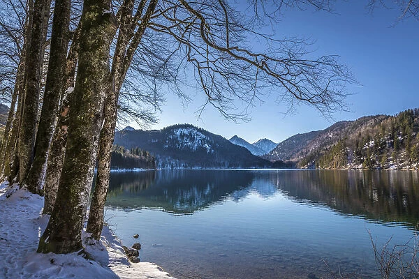 Lake Alpsee near Hohenschwangau, Schwangau, Allgaeu, Bavaria, Germany