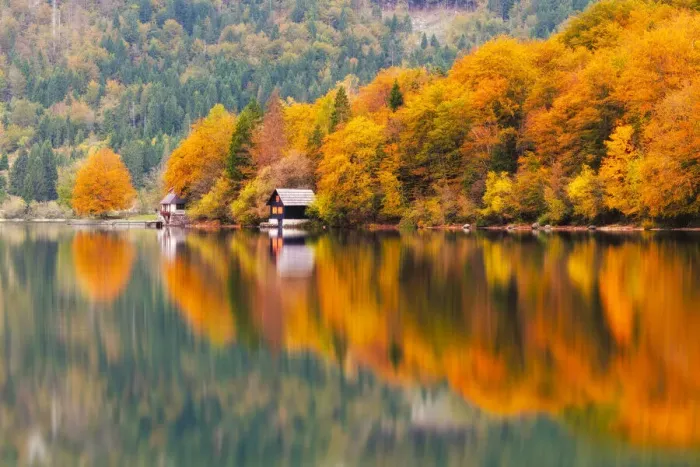 Framed Print : Lake Bohinj in autumn, Gorenjska, Slovenia Framed Print : Lake Bohinj in autumn, Gorenjska, Slovenia