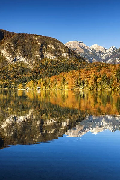 Lake Bohinj in Autumn, Slovenia, Europe
