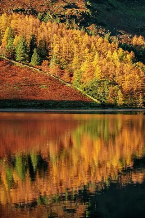 Framed Print : Lake Buttermere at dawn, Lake District, Cumbria, England, UK