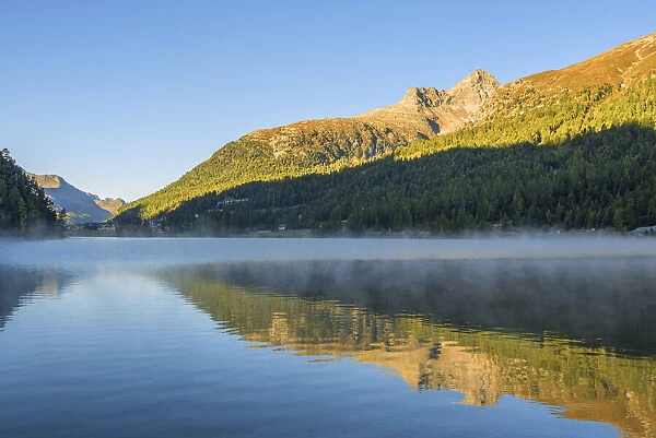 Lake Champfer at dawn, Bernina mountain range, Upper Engadin, Grisons (Graubunden), Switzerland