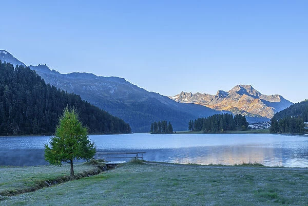 Lake Champfer at dawn with Piz da la Margna, Bernina mountain range, Upper Engadin, Grisons (Graubunden), Switzerland