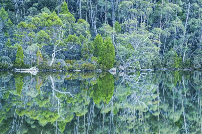 Framed Print : Lake Dobson Reflections, Mt. Field National Park, Tasmania Framed Print : Lake Dobson Reflections, Mt. Field National Park, Tasmania