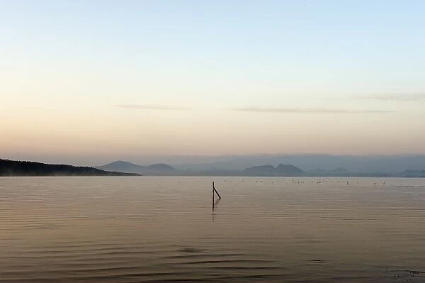 Lake Elementaita with fence post re-dawn, Kenya