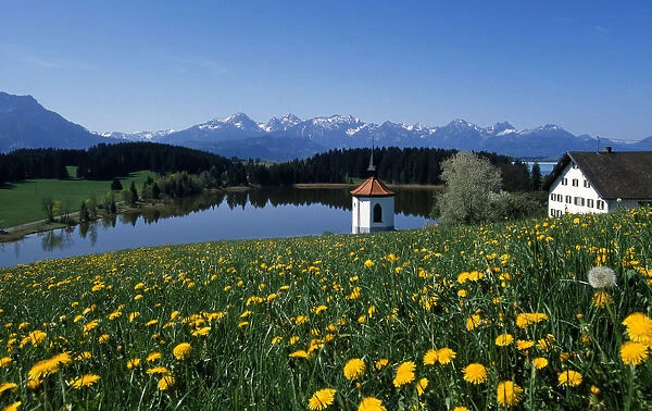Lake Hergratsried, Allgaeu, Bavaria, Germany