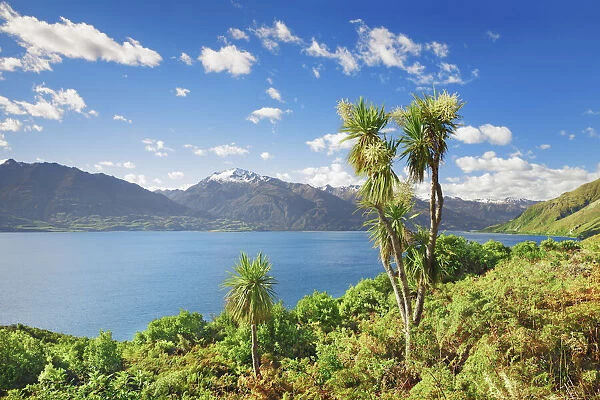 Lake landscape at Lake Wanaka - New Zealand, South Island, Otago, Queenstown Lakes
