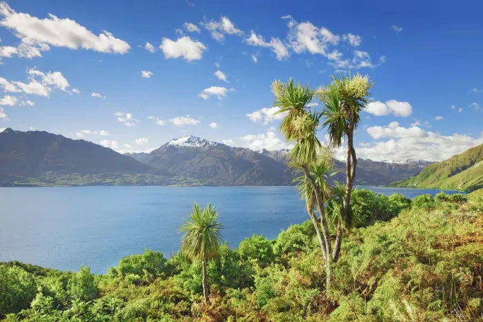 Framed Print : Lake landscape at Lake Wanaka - New Zealand, South Island, Otago, Queenstown Lakes