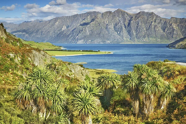 Lake landscape with palms at Lake Hawea - New Zealand, South Island, Otago