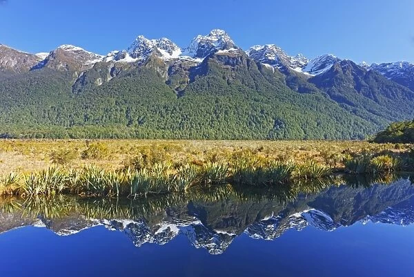 Lake Matheson reflections, Fiordland National Park, Milford Sound, South Island