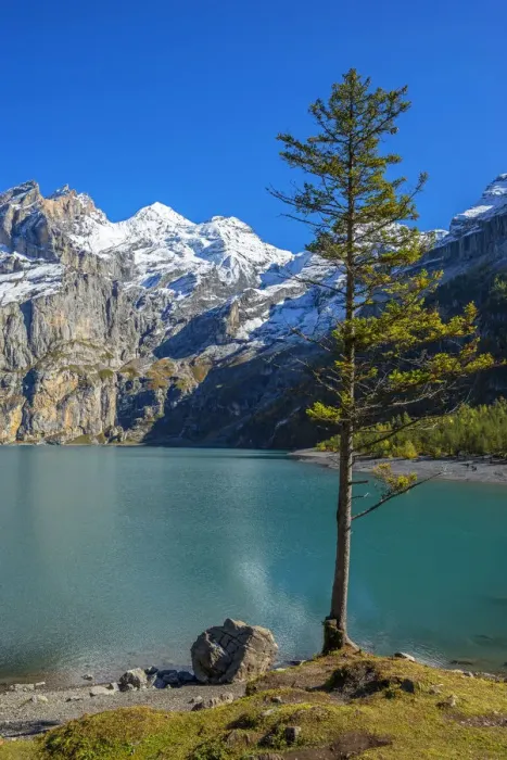 Framed Print : Lake Oeschinen with Blumlisalp mountain range, Kandersteg, Berner Oberland, Switzerland