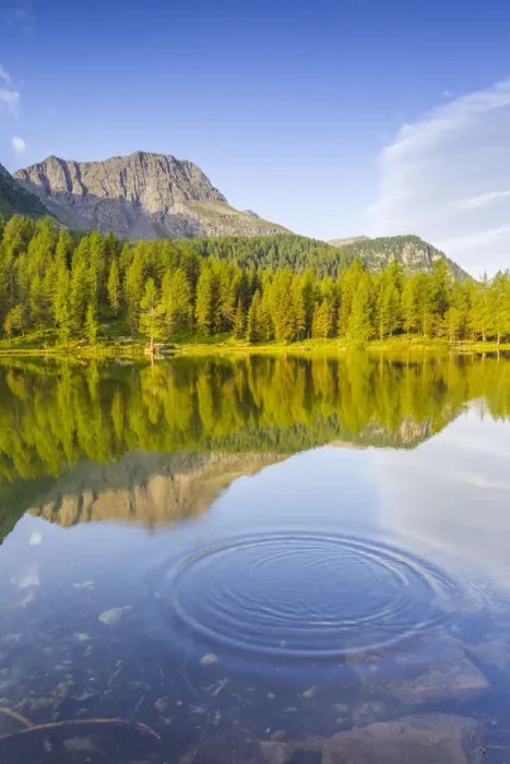 Framed Print : Lake at Passo San Peggerino. Moena, Dolomites, Passo San Pellegrino, Trento Province Framed Print : Lake at Passo San Peggerino. Moena, Dolomites, Passo San Pellegrino, Trento Province