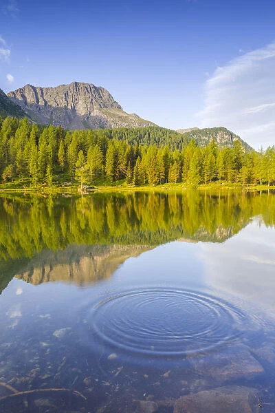 Lake at Passo San Peggerino. Moena, Dolomites, Passo San Pellegrino, Trento Province