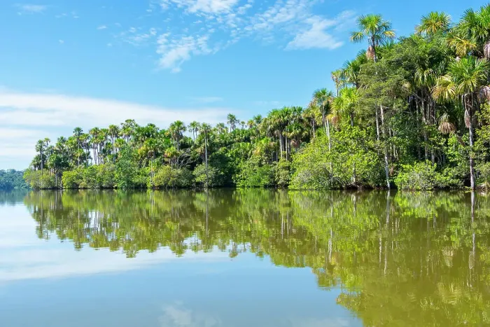 Framed Print : Lake Sandoval and Aguaje palms, Tambopata National Reserve, Puerto Maldonado, Madre de Dios, Peru Framed Print : Lake Sandoval and Aguaje palms, Tambopata National Reserve, Puerto Maldonado, Madre de Dios, Peru