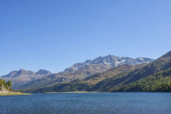 Lake Sils with Piz Corvatsch, Bernina mountain range, Upper Engadin, Grisons (Graubunden), Switzerland