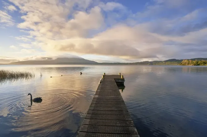 Framed Print : Lake Tarawerea sunrise, Rotorua, New Zealand