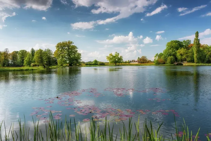 Framed Print : Lake Worlitz with a view of the palm house, Dessau-Worlitzer Garden Realm, English style landscape park, Unesco World Heritage site, Dessau-Worlitz, Saxony-Anhalt, Germany Framed Print : Lake Worlitz with a view of the palm house, Dessau-Worlitzer Garden Realm, English style landscape park, Unesco World Heritage site, Dessau-Worlitz, Saxony-Anhalt, Germany