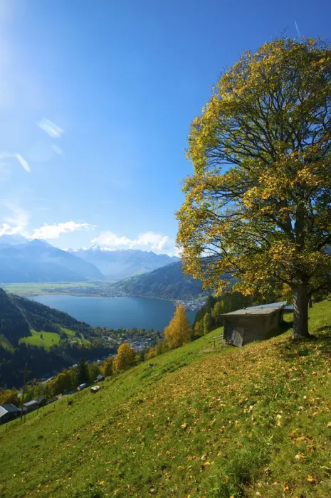 Framed Print : Lake Zeller See, Thumersbach, Pinzgau in Salzburger Land, Austria Framed Print : Lake Zeller See, Thumersbach, Pinzgau in Salzburger Land, Austria