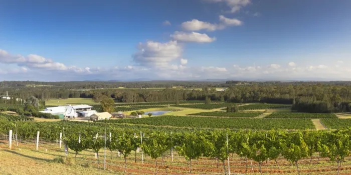 Framed Print : Lakes Folly Wine Estate, Hunter Valley, New South Wales, Australia