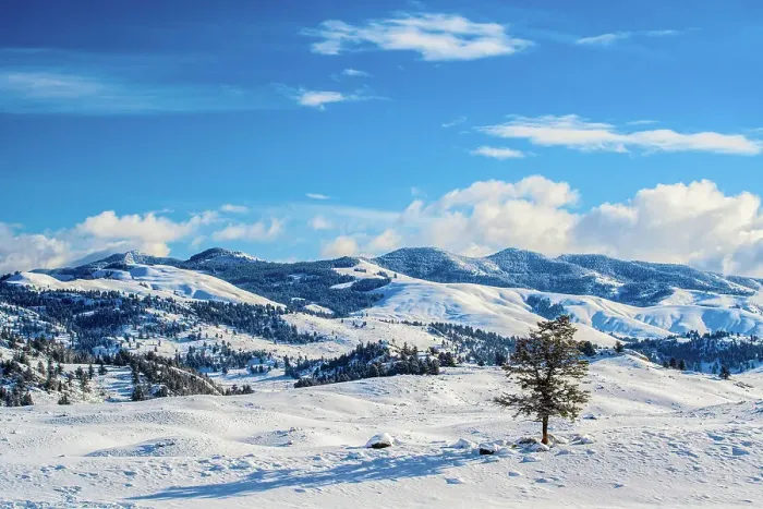 Framed Print : Lamar Valley in winter