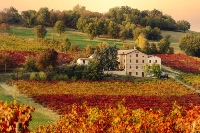 Framed Print : Lambrusco Grasparossa Vineyards and farmhouse in autumn, Castelvetro di Modena Framed Print : Lambrusco Grasparossa Vineyards and farmhouse in autumn, Castelvetro di Modena
