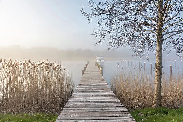 Landing stage in the fog in the Bodden harbour of Prerow, Mecklenburg-West Pomerania, Northern Germany, Germany