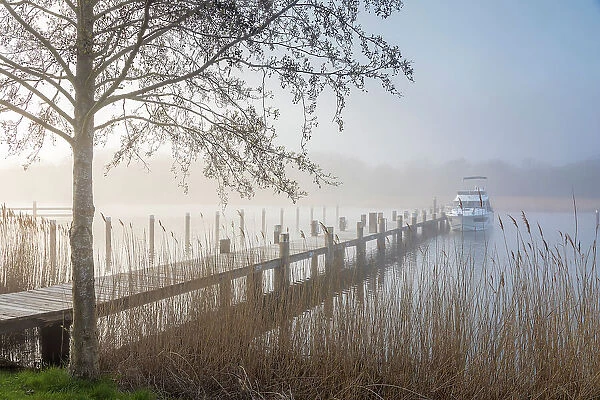Landing stage in the fog in the Bodden harbour of Prerow, Mecklenburg-West Pomerania, Northern Germany, Germany