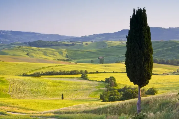 Framed Print : Landscale near Pienza, Val d Orcia, Tuscany, Italy Framed Print : Landscale near Pienza, Val d Orcia, Tuscany, Italy