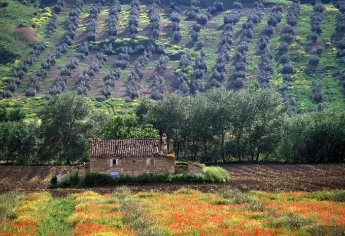 Framed Print : Landscape, Andalucia Framed Print : Landscape, Andalucia