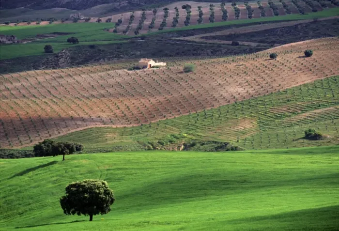 Framed Print : Landscape, Andalucia Framed Print : Landscape, Andalucia
