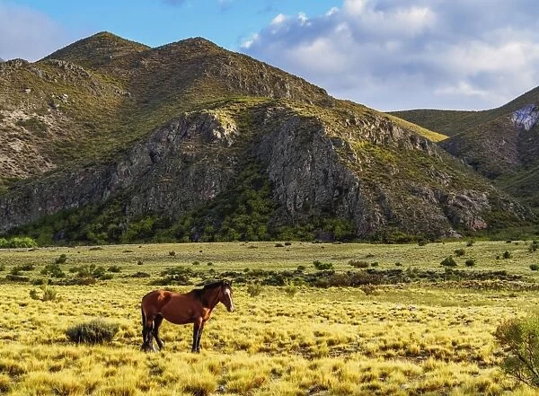 Landscape of Andes, El Manzano Historico, Tunuyan Department, Mendoza Province, Argentina