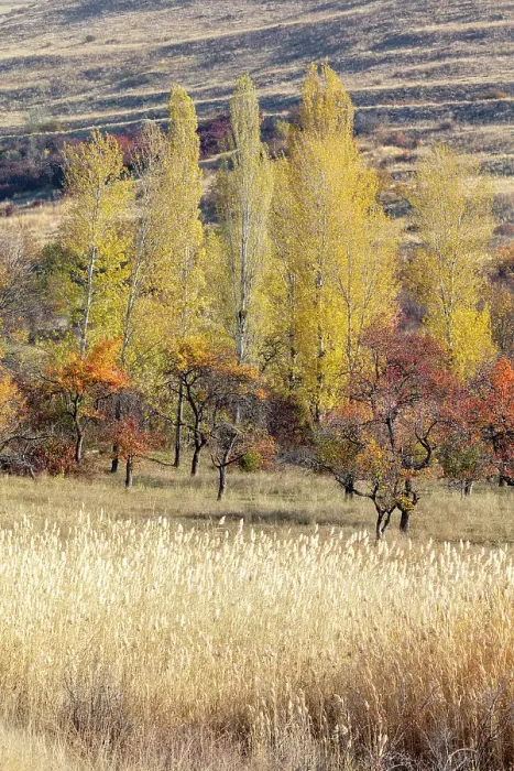 Framed Print : Landscape in the autumn, Armenia Framed Print : Landscape in the autumn, Armenia